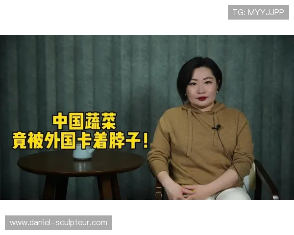 2024年最新老虎机价格趋势预测及购买建议让你轻松掌握市场动态